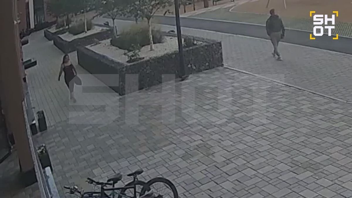 Женщина выбросила котёнка в завязанном пакете в мусорку в Екатеринбурге