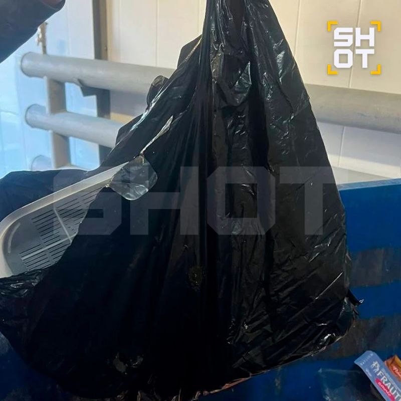 Женщина выбросила котёнка в завязанном пакете в мусорку в Екатеринбурге Женщина выбросила котёнка в завязанном пакете в мусорку в Екатеринбурге