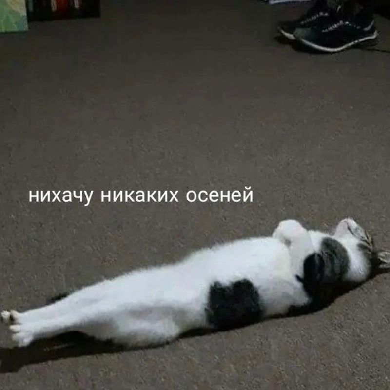 Ночные заморозки ожидаются в Свердловской области