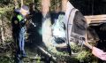 В Нижнем Тагиле водитель Kia погиб после серьёзного ДТП с деревом