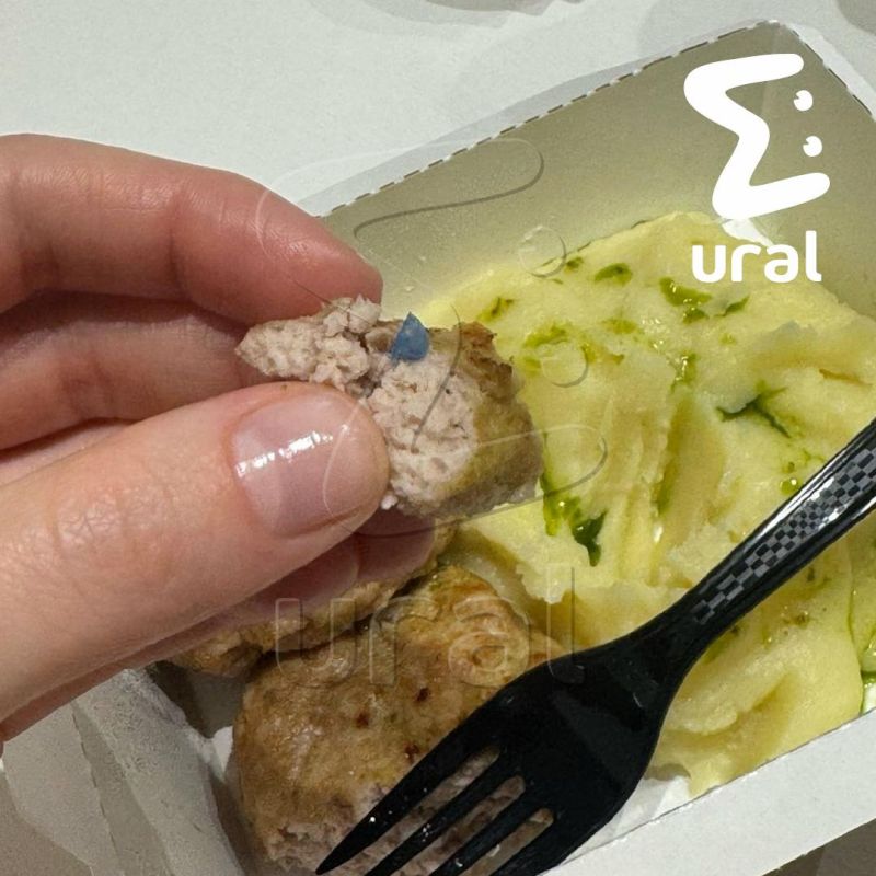 Девушке попался пластик в двух блюдах от популярного ресторана Breadway в Екатеринбурге Девушке попался пластик в двух блюдах от популярного ресторана Breadway в Екатеринбурге