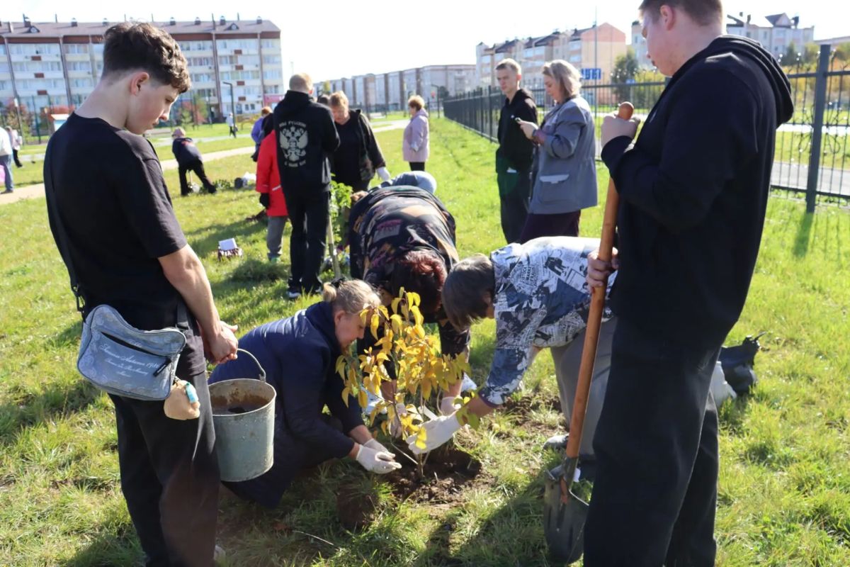 В парке имени Владислава Тетюхина в Верхней Салде завершилось масштабное озеленение — территория стала ещё уютнее и красивее