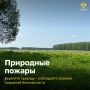 Впереди - выходные - прекрасная возможность провести время с семьей, выбрать занятие по душе