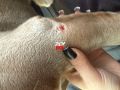 �� ������� �������� ���� ������� � �������