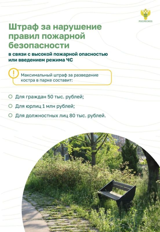 Впереди - выходные - прекрасная возможность провести время с семьей, выбрать занятие по душе Впереди - выходные - прекрасная возможность провести время с семьей, выбрать занятие по душе
