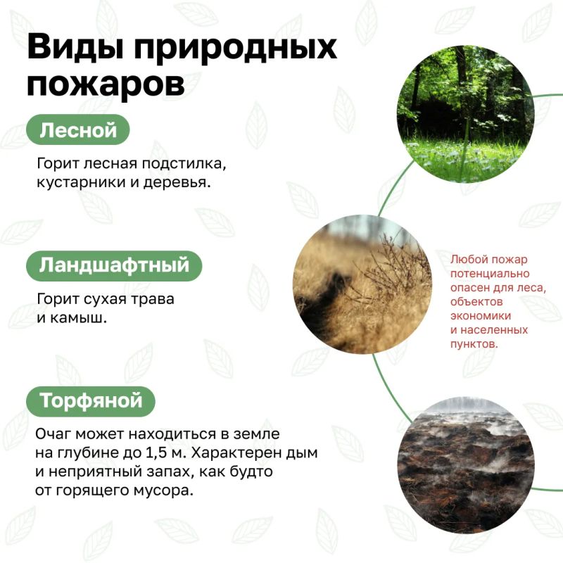 Впереди - выходные - прекрасная возможность провести время с семьей, выбрать занятие по душе Впереди - выходные - прекрасная возможность провести время с семьей, выбрать занятие по душе