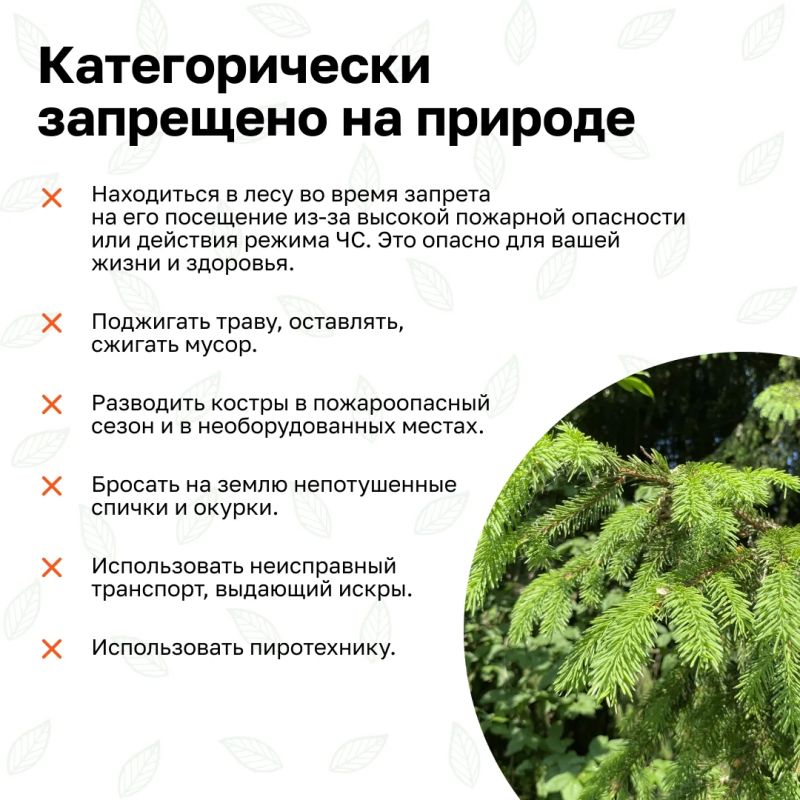 Впереди - выходные - прекрасная возможность провести время с семьей, выбрать занятие по душе Впереди - выходные - прекрасная возможность провести время с семьей, выбрать занятие по душе