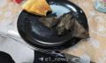 Летучая мышь залетела прямо в тарелку жительницы Екатеринбурга