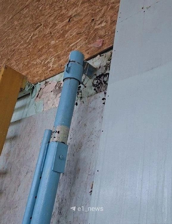В Екатеринбурге школа покрылась плесенью и грибами В Екатеринбурге школа покрылась плесенью и грибами