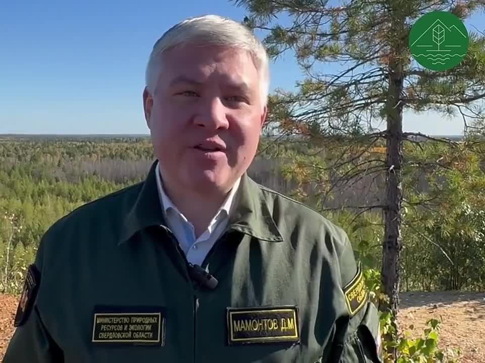 В Режевском заказнике выпустили спасенных сов
