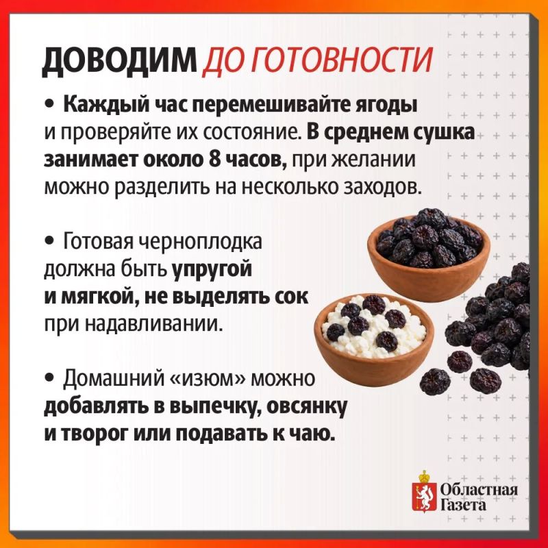 Просто и полезно: готовим домашний изюм из черноплодной рябины Просто и полезно: готовим домашний изюм из черноплодной рябины
