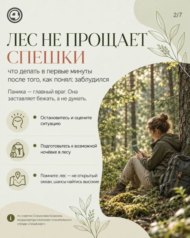 Заблудились в лесу — не бегите: рассказываем, как не усложнить поиск Заблудились в лесу — не бегите: рассказываем, как не усложнить поиск