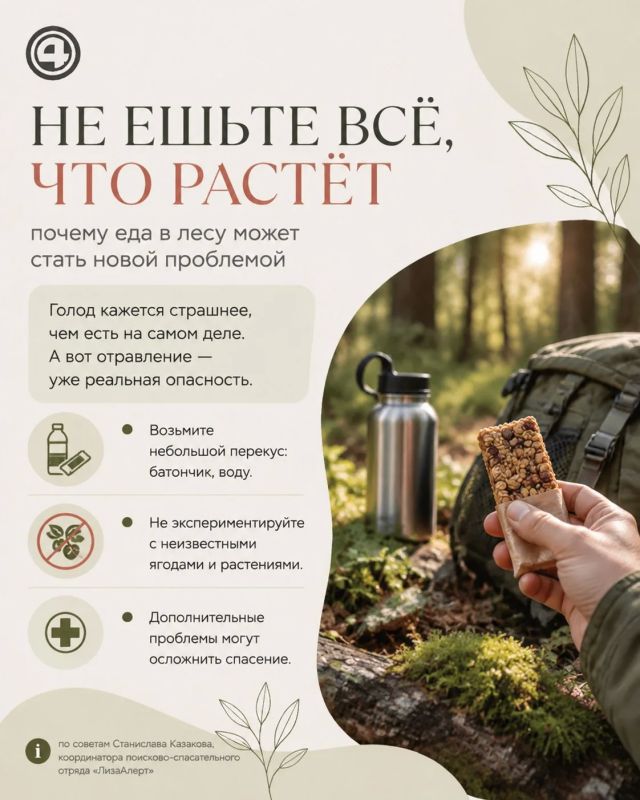 Заблудились в лесу — не бегите: рассказываем, как не усложнить поиск Заблудились в лесу — не бегите: рассказываем, как не усложнить поиск