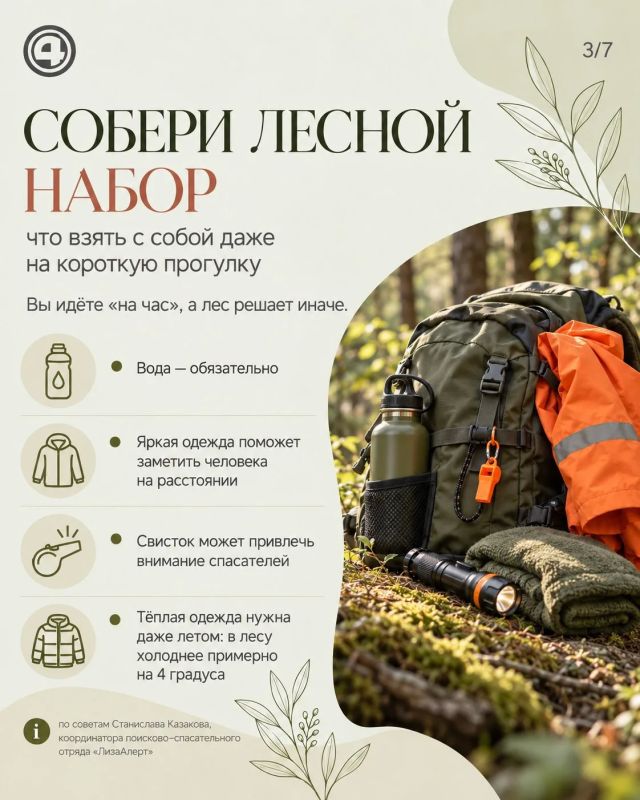 Заблудились в лесу — не бегите: рассказываем, как не усложнить поиск Заблудились в лесу — не бегите: рассказываем, как не усложнить поиск