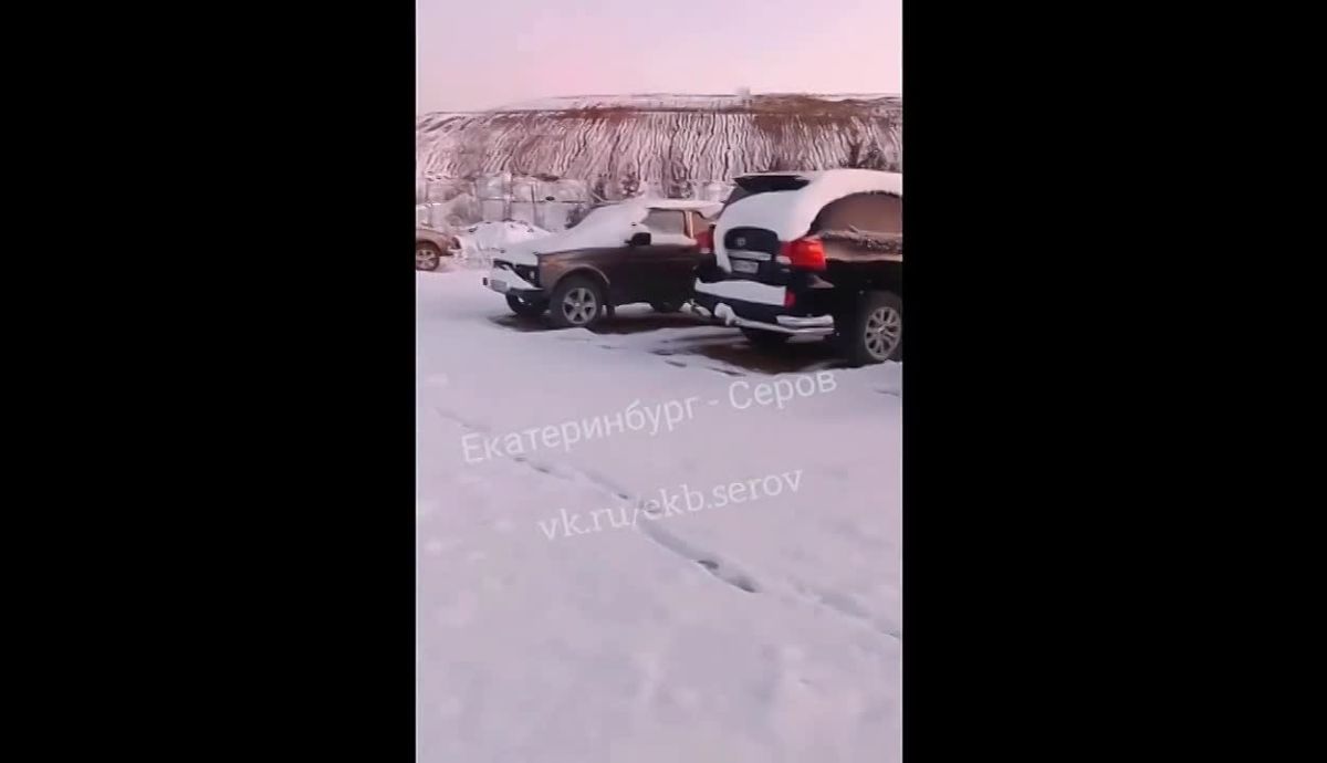 В Ивделе медведь вновь разгромил автостоянку