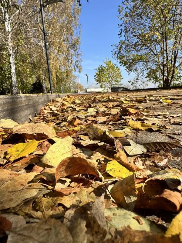 Доброе утро, #нижнийтагил. Фото: макс-канал главы города Владислава Пинаева Доброе утро, #нижнийтагил. Фото: макс-канал главы города Владислава Пинаева