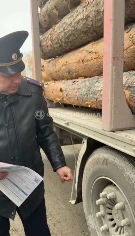 Без тормозов и тахографа: на Полевском тракте ловят грузовики-нарушители Без тормозов и тахографа: на Полевском тракте ловят грузовики-нарушители