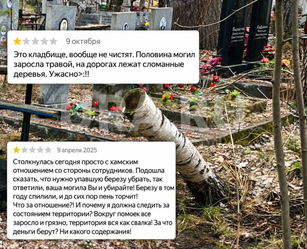 Брат депутата думы Екатеринбурга пилит деревья на городских кладбищах