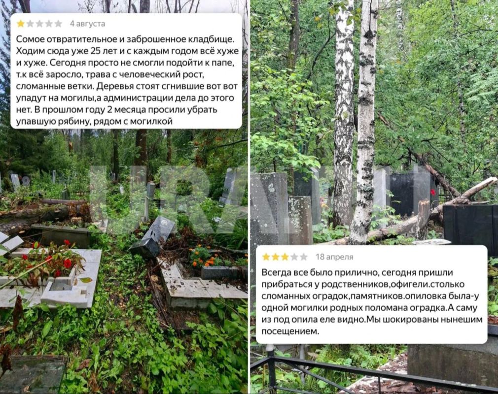 Брат депутата думы Екатеринбурга пилит деревья на городских кладбищах Брат депутата думы Екатеринбурга пилит деревья на городских кладбищах
