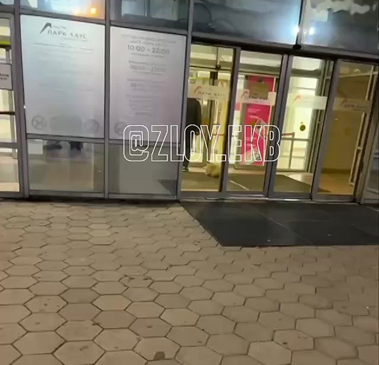 Мужчина наступил на собаку и дёргал её за поводок у ТЦ в Екатеринбурге