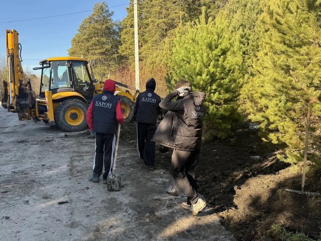 В Старопышминске на месте свалки высадили сосны