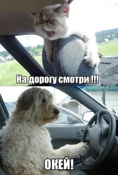 Осень проверяет водителей на внимательность: туман скрывает дорогу, дождь делает асфальт скользким, а первый гололед часто появляется там, где его совсем не ждешь